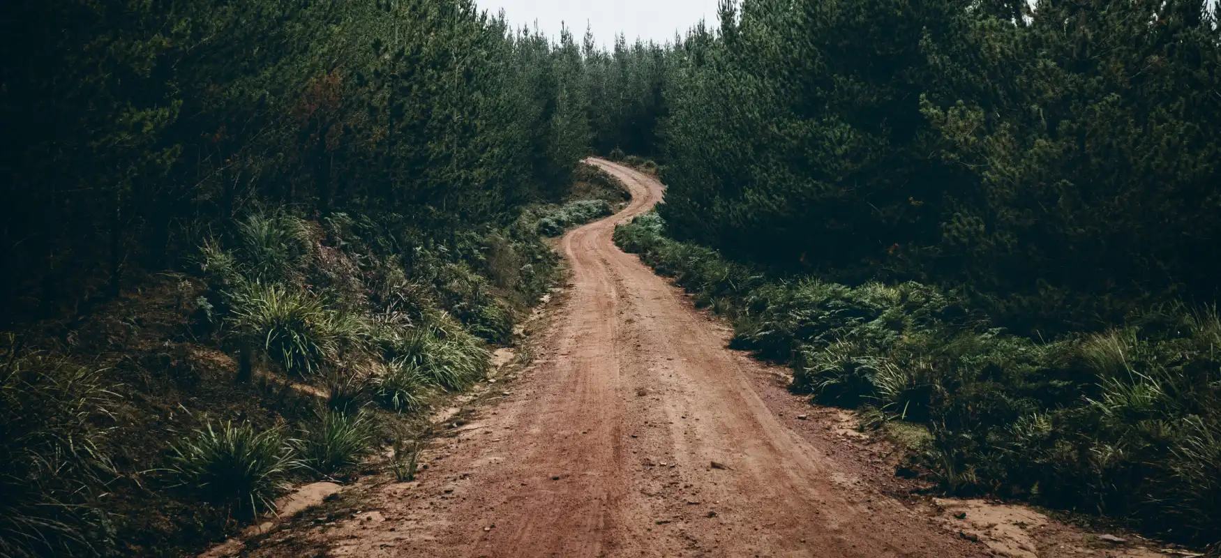 Dirt Path Photo
